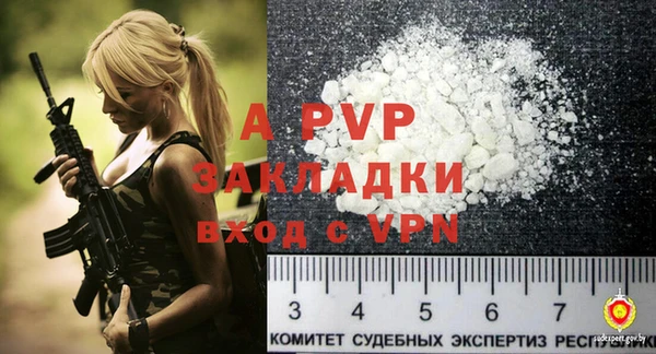 стаф Белокуриха