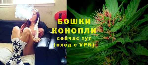 стаф Белокуриха
