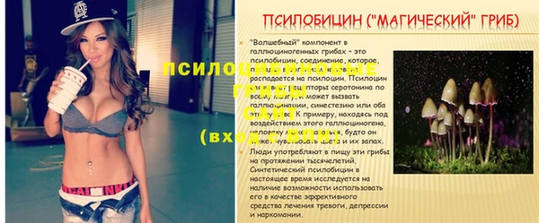 сатива Белоозёрский