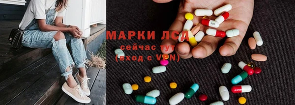 сатива Белоозёрский