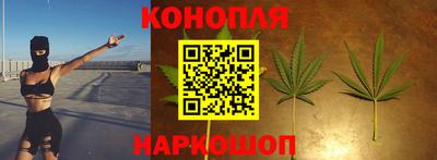 дмт Шелехов