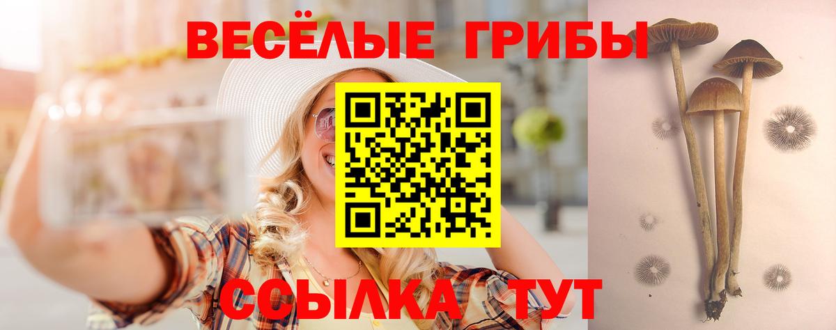Галлюциногенные грибы прущие грибы Сегежа