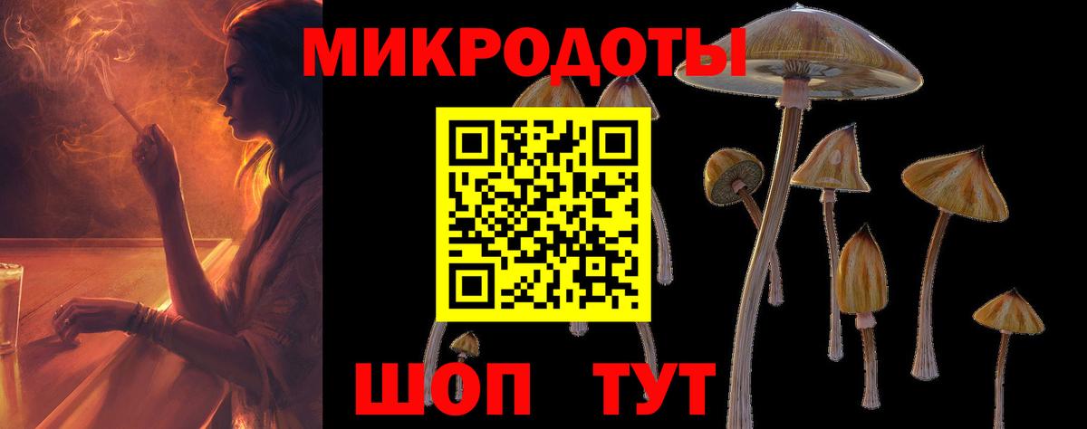 Сегежа  Галлюциногенные грибы Cubensis  Галлюциногенные грибы мухоморы  Вход с VPN 
